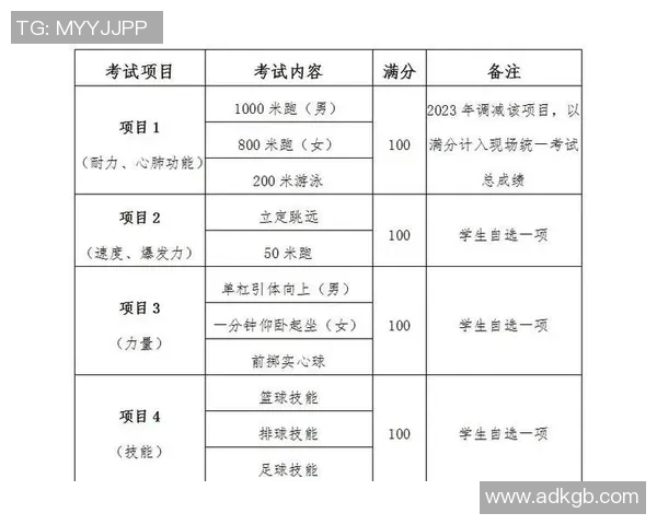 以体能测试为核心探讨个体健康评估与体育素质提升的综合研究与应用